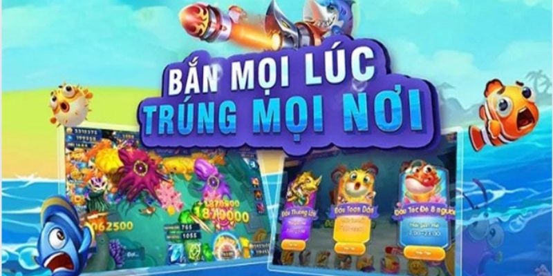 Giới thiệu sơ lược về trang web Banca30